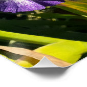 Poster Purple Flowers Floral Iris Irises Mothers Day (Coin)