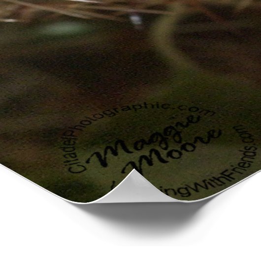 Poster Purple Hedgehog (Coin)