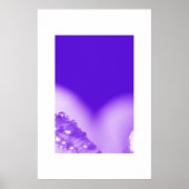 Poster Purple humide (Devant)