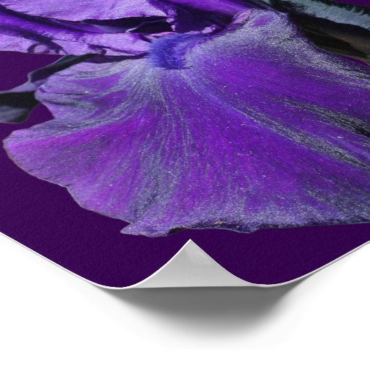 Poster Purple Iris Flower Personalized Wedding  (Coin)