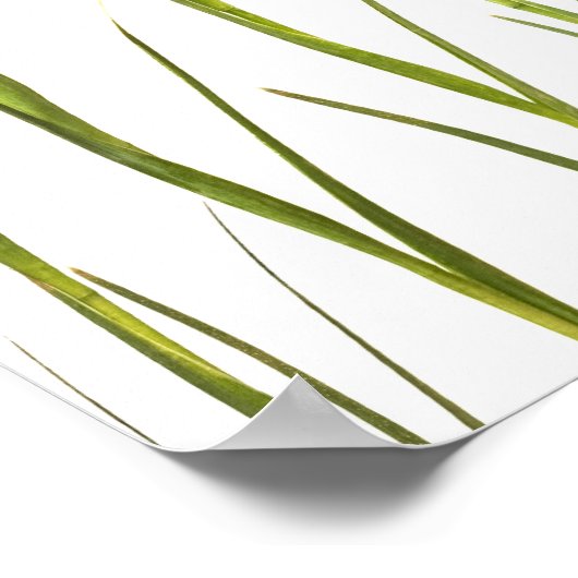 Poster Purple Irises - Iris Flower Customisé Modèle (Coin)