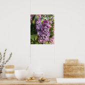 Poster Purple Lilac (Cuisine)