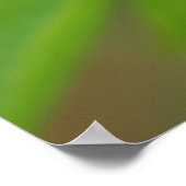 Poster Purple Lilac (Coin)