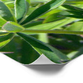 Poster Purple Lupine 1 (Coin)