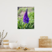Poster Purple Lupine 1 (Cuisine)