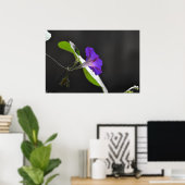 Poster Purple Morning Glory Flower (Bureau à domicile)