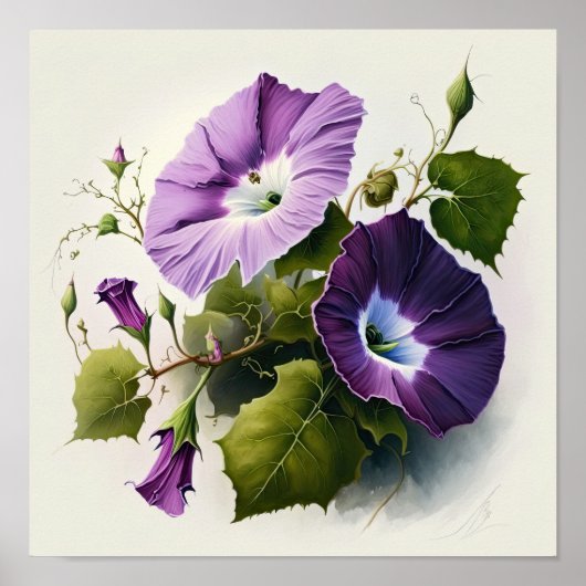 Poster Purple Morning Glory Flowers Art Imprimer l'affich (Devant)