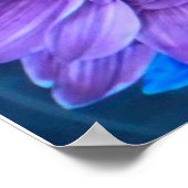 Poster Purple N Turquoise Daisies (Coin)