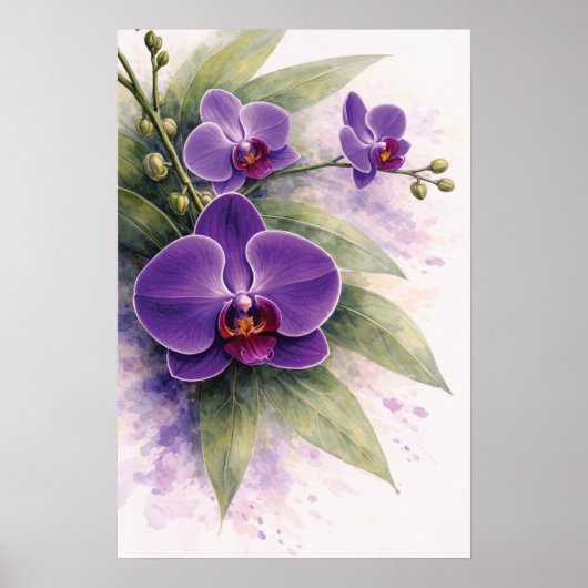 Poster Purple Orchid Botanical  (Devant)