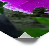 Poster purple orchid flower (Coin)