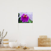 Poster purple orchid flower (Cuisine)