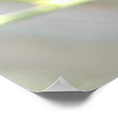 Poster Purple Passion fleur tropicale fleurit de près (Coin)