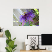 Poster Purple Passion fleur tropicale fleurit de près (Bureau à domicile)