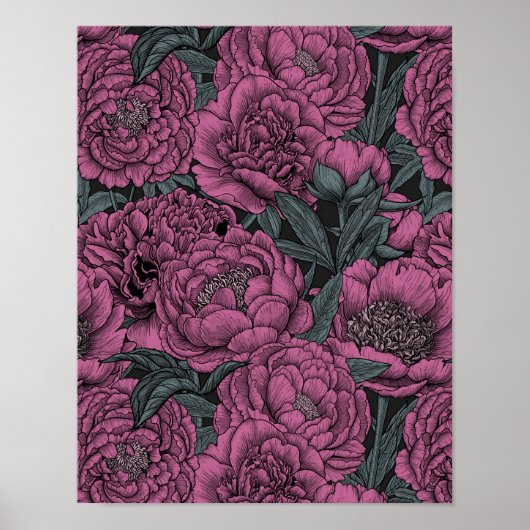 Poster Purple peony flowers (Devant)