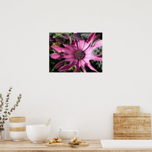Poster Purple Rain Daisy Imprimer (Cuisine)
