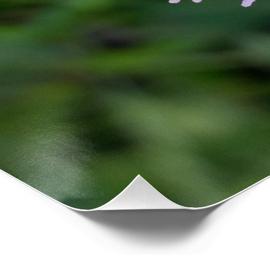 Poster purple splas (Coin)