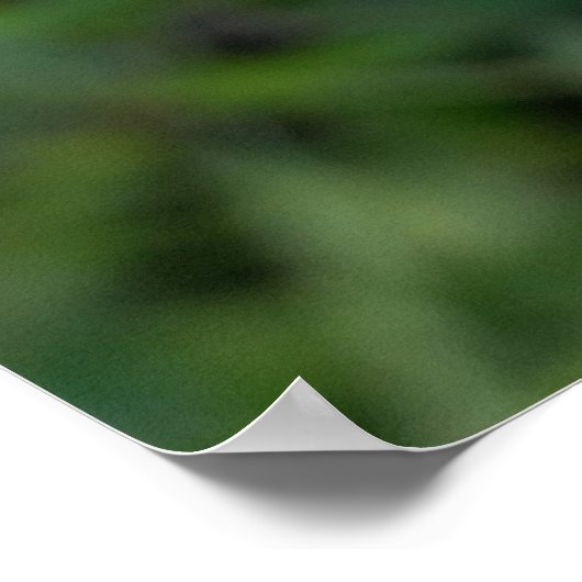 Poster purple splas (Coin)