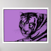 POSTER PURPLE TIGER (Devant)