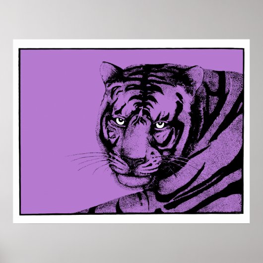 POSTER PURPLE TIGER (Devant)