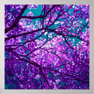 Poster Purple tree II