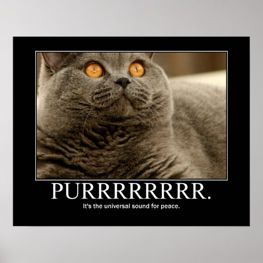 Poster Purr est le son universel pour la paix Artwork (Devant)