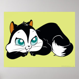 Poster Pussyfoot Cute Kitty