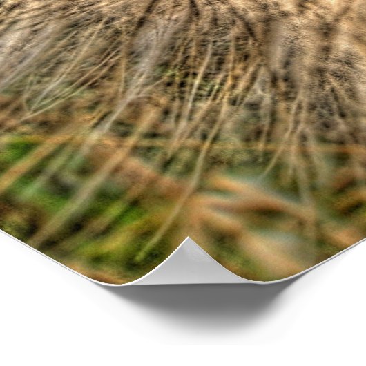 Poster pusteblume 2007 (Coin)