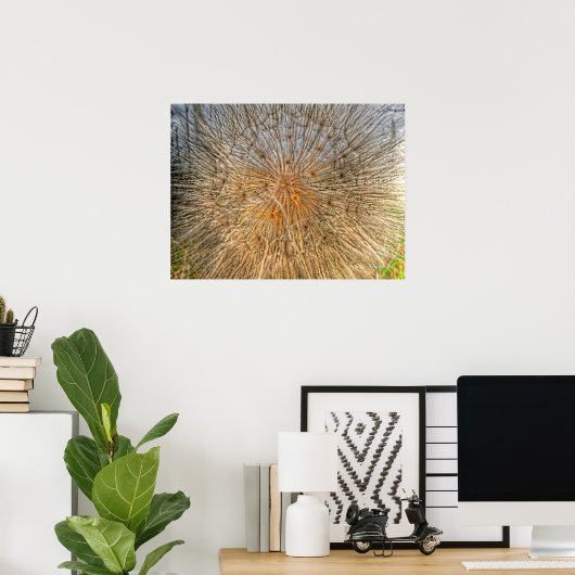 Poster pusteblume 2007 (Bureau à domicile)