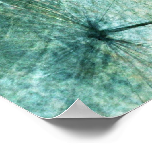 Poster Pusteblume Kunst (Coin)