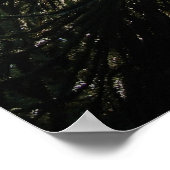 Poster Puzzle de singe (Coin)