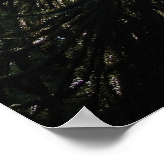 Poster Puzzle de singe (Coin)