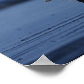 Poster Pygargue à tête blanche (Coin)