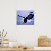 Poster Pygargue à tête blanche atterrissant, ailes déploy (Cuisine)
