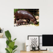 Poster Pygmée Hippo paire Hippopotamus Portrait (Bureau à domicile)