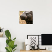 Poster Pygmy Hippo (Bureau à domicile)