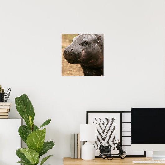 Poster Pygmy Hippo (Bureau à domicile)