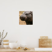 Poster Pygmy Hippo (Cuisine)