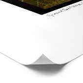 Poster Pyramide Peak & Cloches de marron, Aspen, Colorado (Coin)