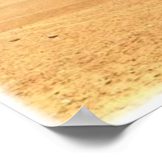 Poster Pyramiden von Gizeh (Coin)