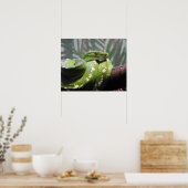 Poster Python à arbre vert (Cuisine)