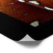 Poster Python à arbre vert (Coin)