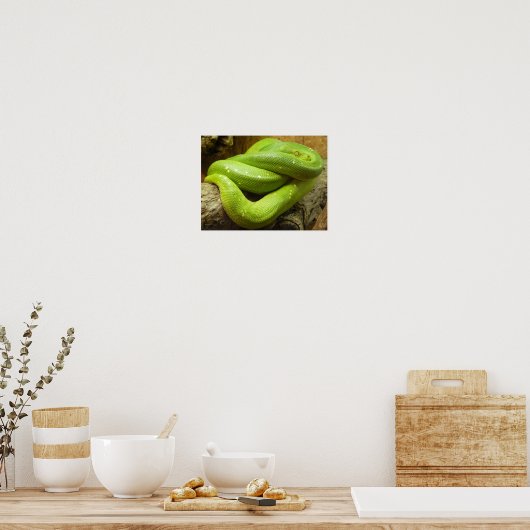 Poster Python à arbre vert (Cuisine)