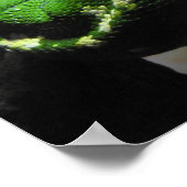 Poster Python à arbre vert (Coin)