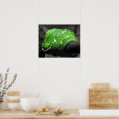 Poster Python à arbre vert (Cuisine)