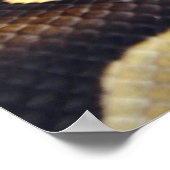 Poster Python à balle jaune et noir 3 (Coin)