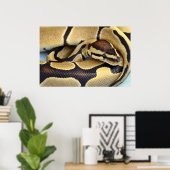 Poster Python à balle jaune et noir 3 (Bureau à domicile)