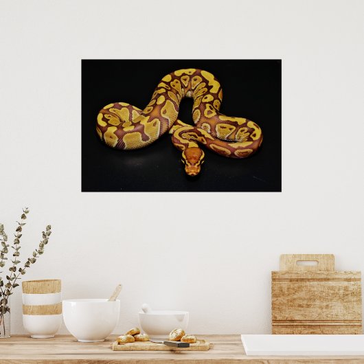 Poster Python Brown et Gold Ball (Cuisine)