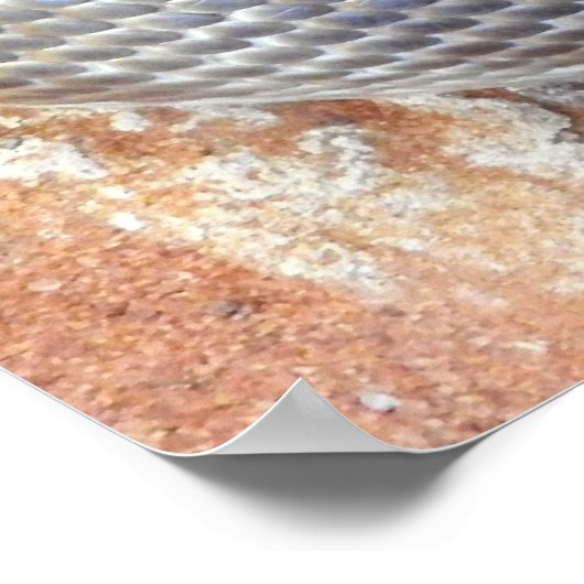 Poster Python de Stimson (Coin)