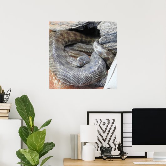 Poster Python de Stimson (Bureau à domicile)