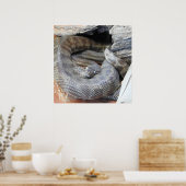 Poster Python de Stimson (Cuisine)